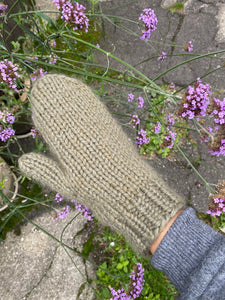 Deima's winter mittens - knitting pattern (norsk)